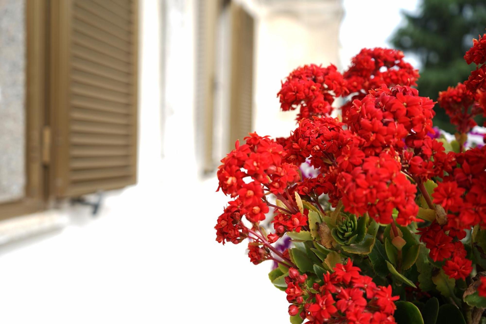 Ostuni Dream House Lejlighed Eksteriør billede